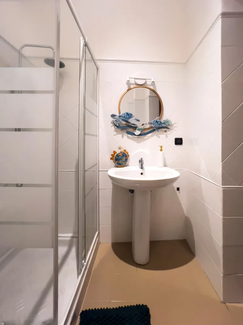 Bathroom with shower and pedestal basin